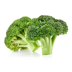 Brassica Oleracea Extract (from Broccoli)  