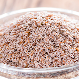 Psyllium Seed