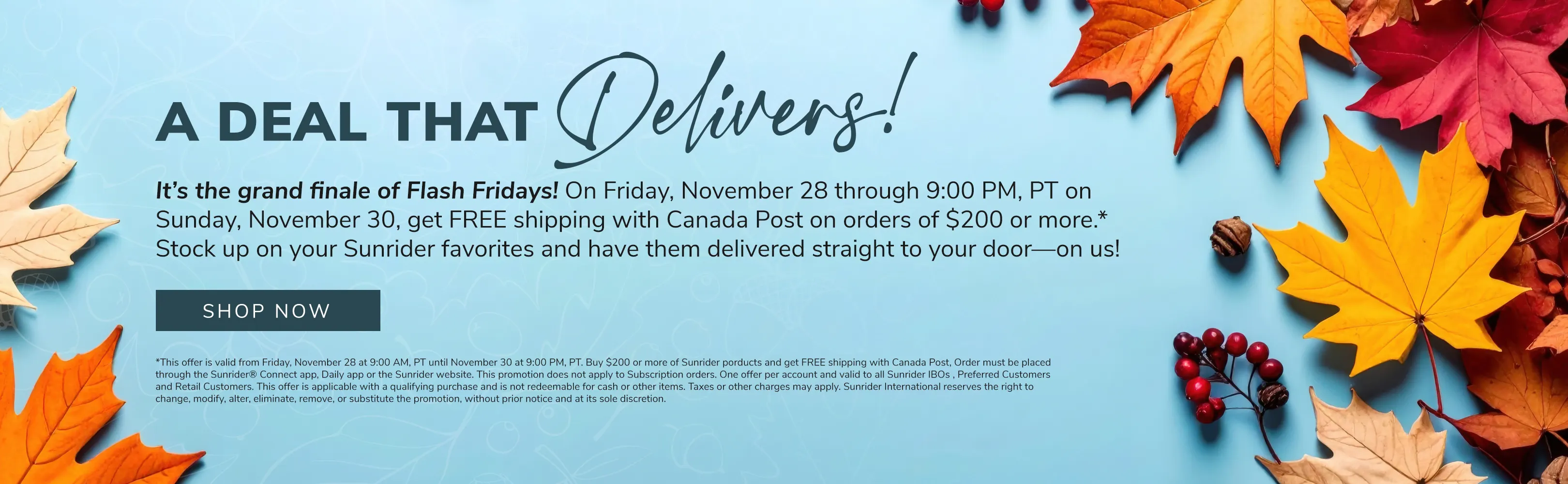 CA-2025-November-Promo4-Carousel-ENG