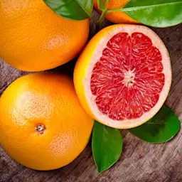 Grapefruit Extract