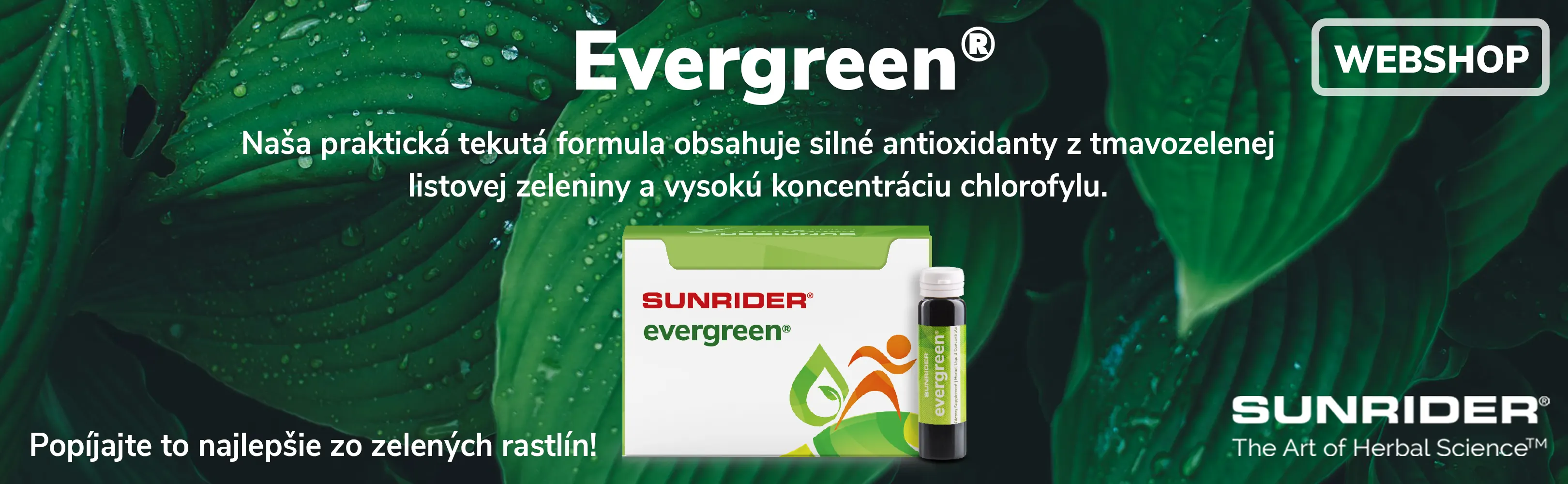 HU] Evergreen banner SK