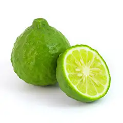 Bergamot Oil 