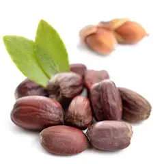 Jojoba Seed Oil