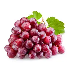 VITIS VINIFERA (GRAPE) FRUIT EXTRACT