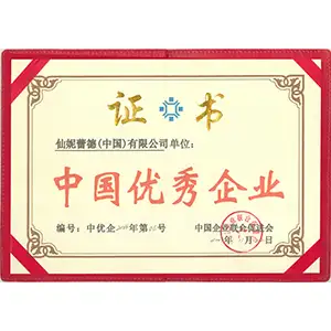 2004-中国优秀企业.png