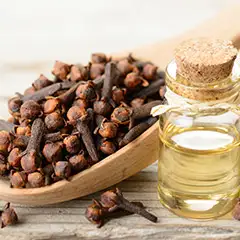 Clove Oil