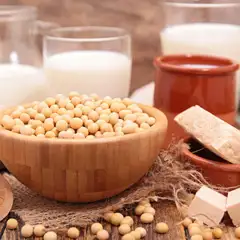 SOY PROTEIN