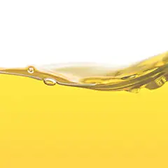 Hydrogenated Vegetable Oil