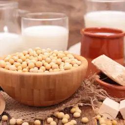 Hydrolyzed Soy Protein