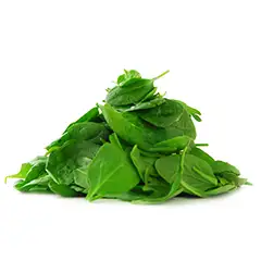 Spinach (Leaf) 