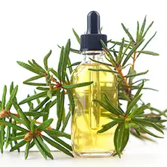 Tea Tree Oil