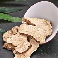 白术根茎 