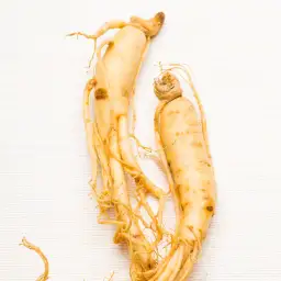 Ginseng