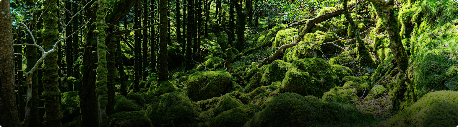 Green energy movement (1)