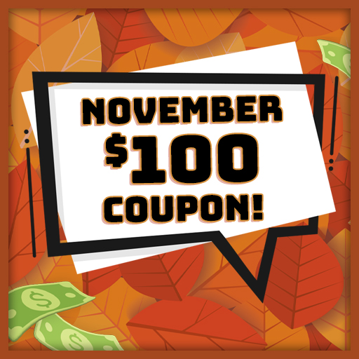 NOVEMBER $100 COUPON!