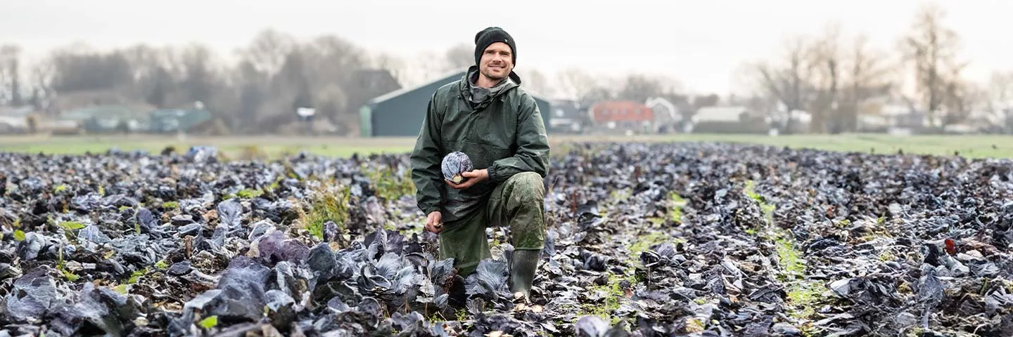 Biodynamische rode kool