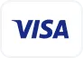 Visa Icon