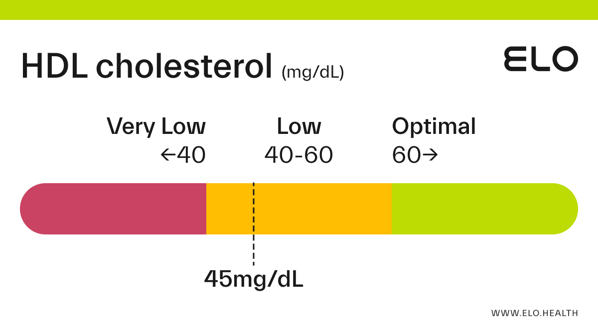 HDL Cholesterol: 45 mg/dL