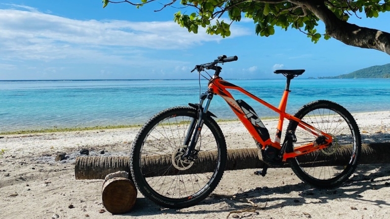 e-bike leaning against a log with a beach in the background