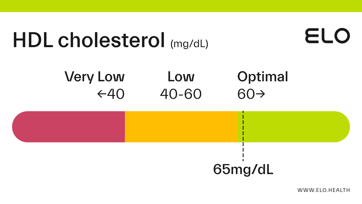 HDL Cholesterol: 65 mg/dL