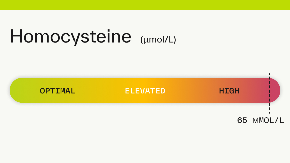 Homocysteine: 65 µmol/L