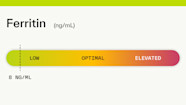Ferritin 8 Ng mL