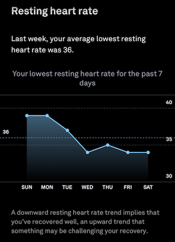 Ari resting heart rate_August 2020