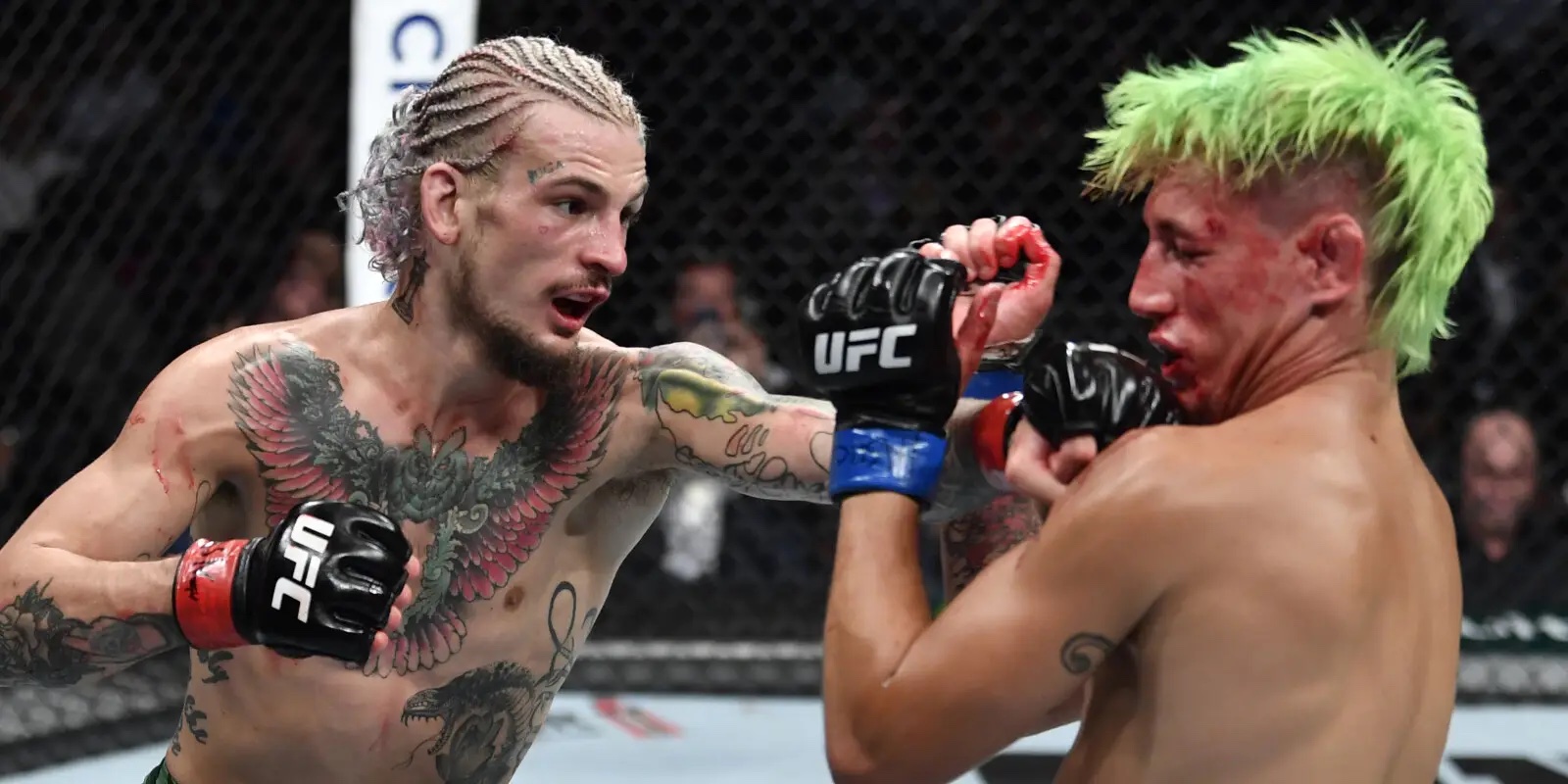 Sean O'Malley jabbing Kris Moutinho. Photo by Jeff Bottari Zuffa LLC