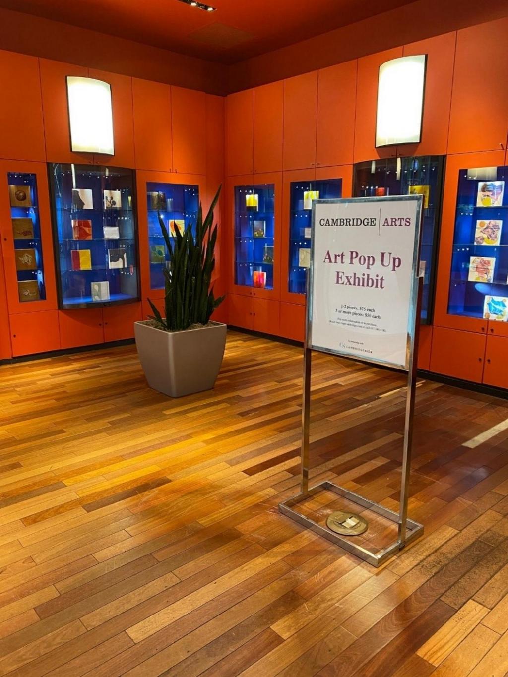 Community Supported Art Pops-Up at CambridgeSide