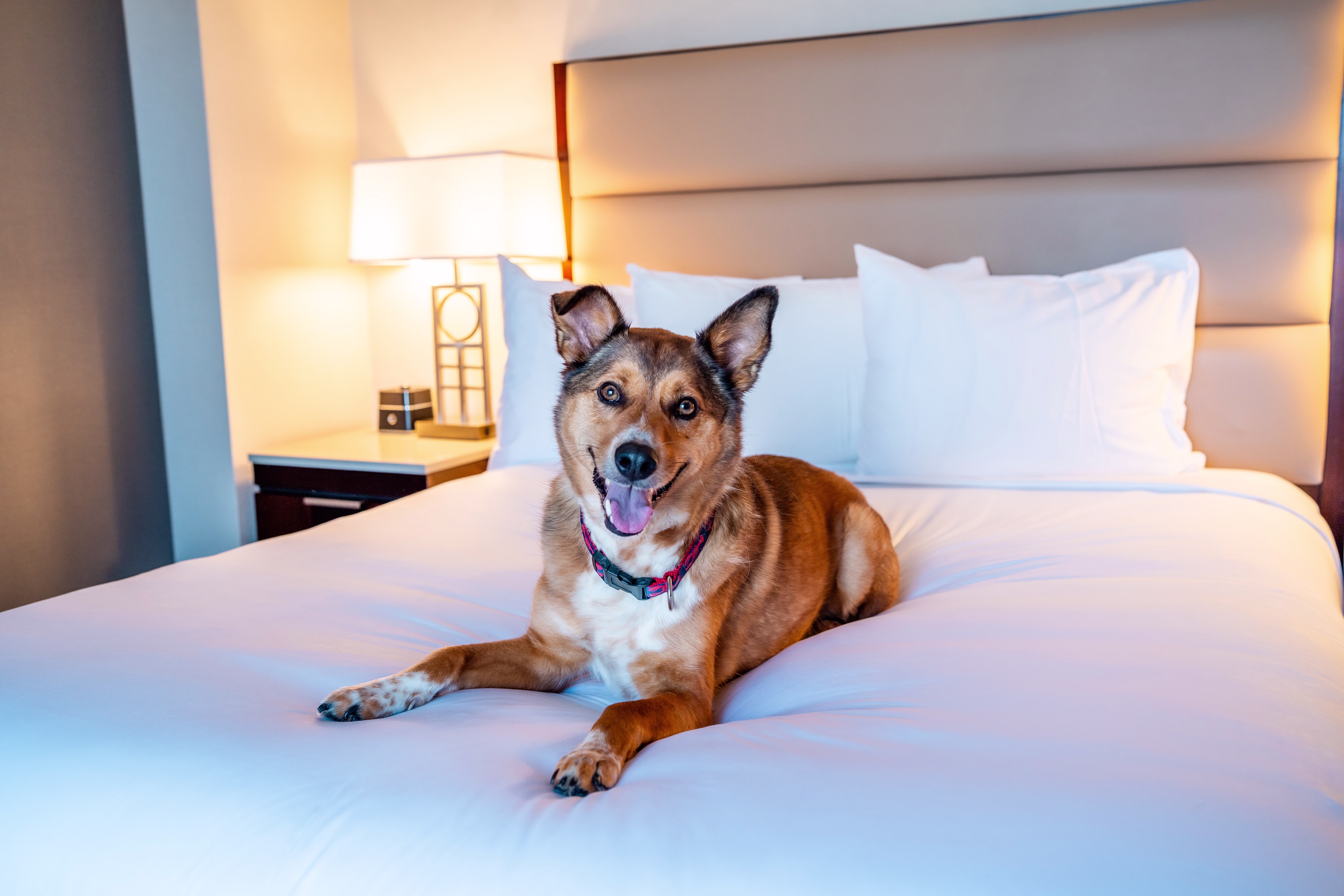 Hyatt Regency Boston Cambridge SocialLite Summer 2024 Maddie 07.27.24-167