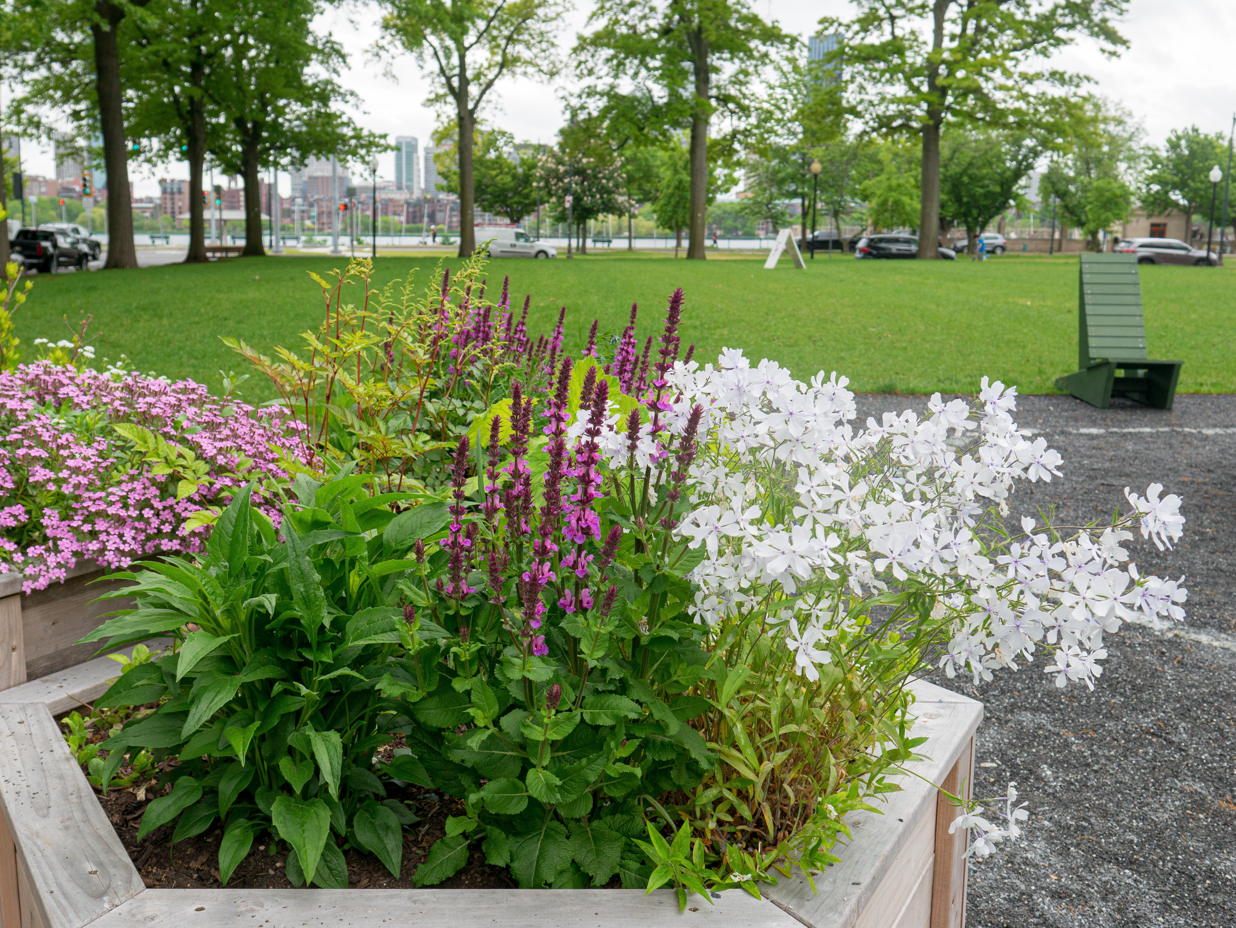 10 GARDENS TO VISIT IN CAMBRIDGE - Cambridge Office for Tourism