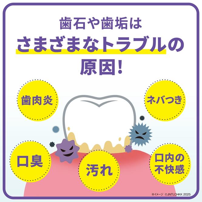 リステリン® プロケア 歯石歯垢予防 image 6