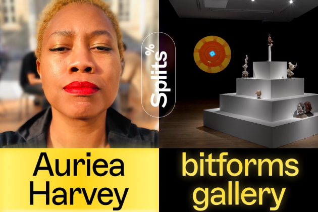 Auriea Harvey Splits with bitforms gallery. cover image