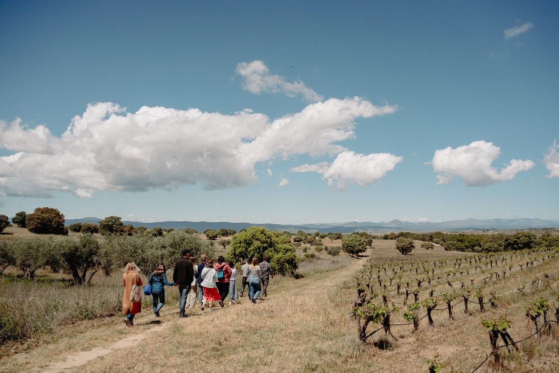 Toledo, Segovia & Ávila: An Overnight Journey from Madrid