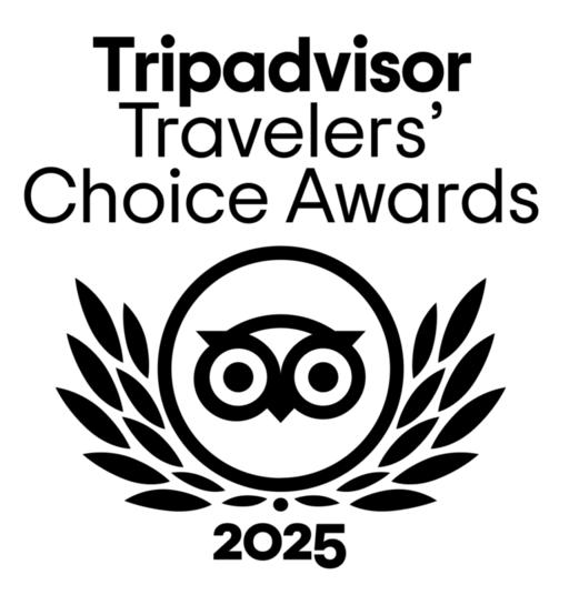 Logo Tripadvisor Travelers Choice in Black WEBP format