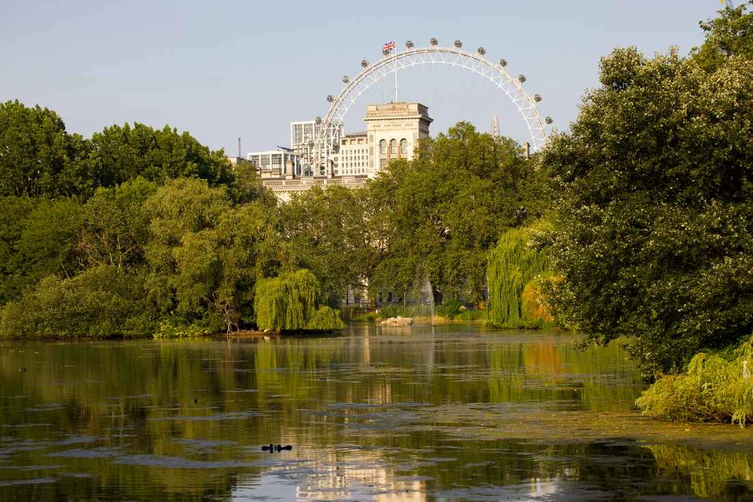 Best of London tour: Tower, Thames, and the royal walk to Westminster 4
