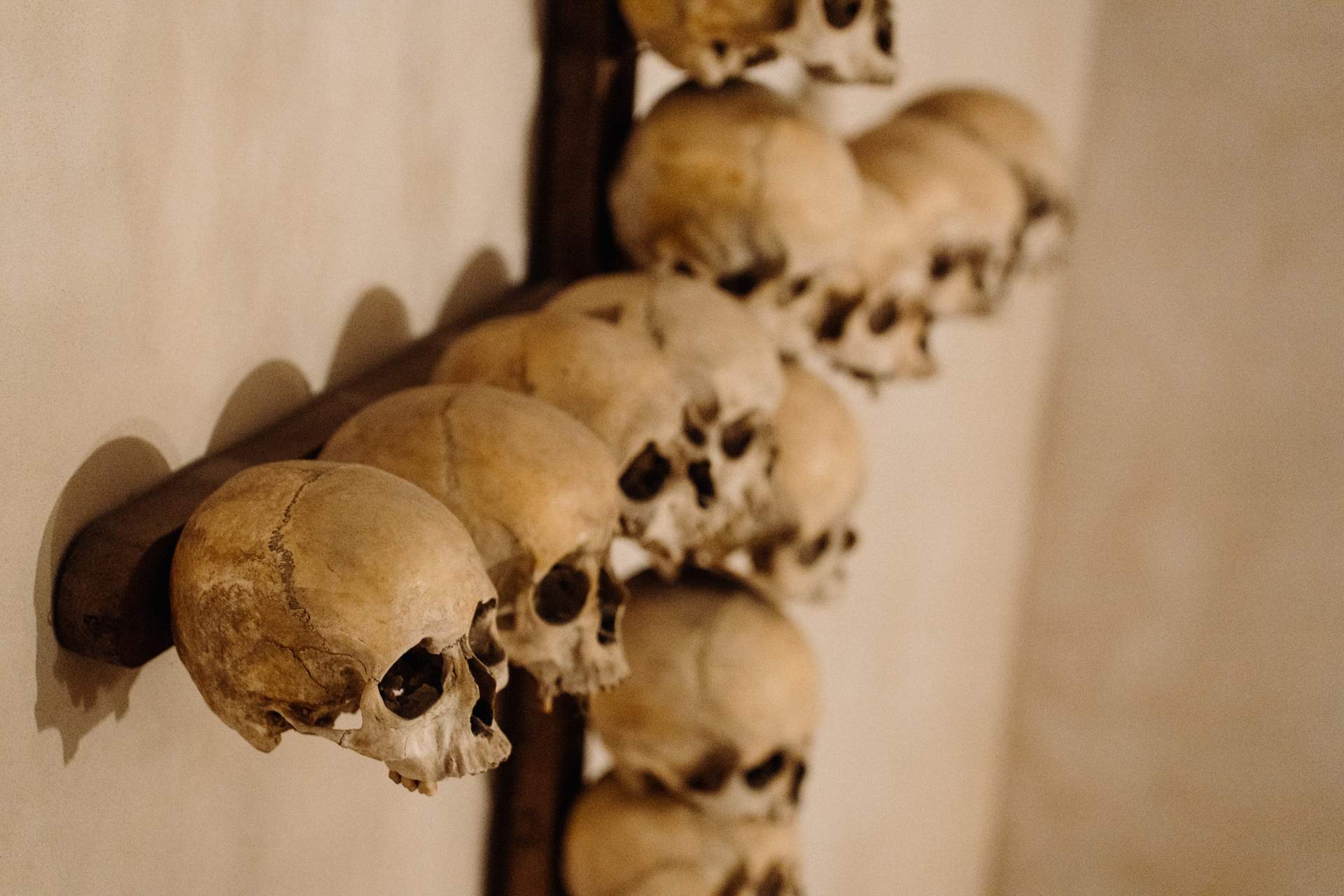 Rome Catacombs tour: Catacombs at closing time, Appian Way, and aqueducts