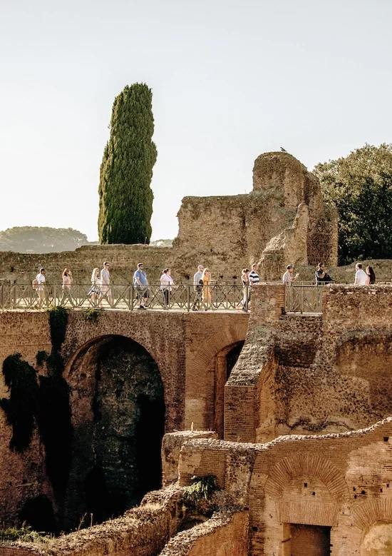Gladiator’s gate: Step onto the Colosseum arena floor 6