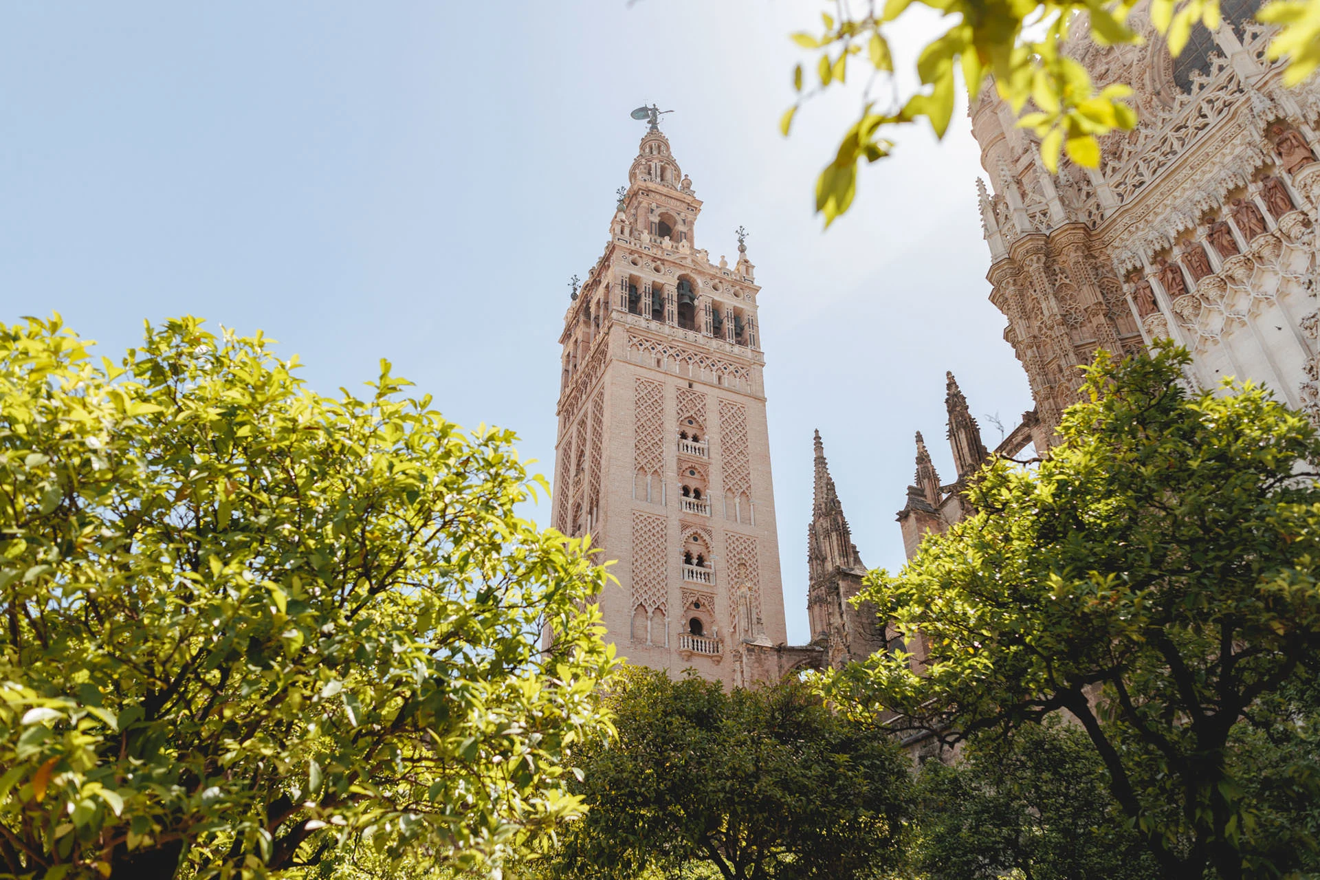 Seville with Kids: A Private Family Food & Walking Tour 3