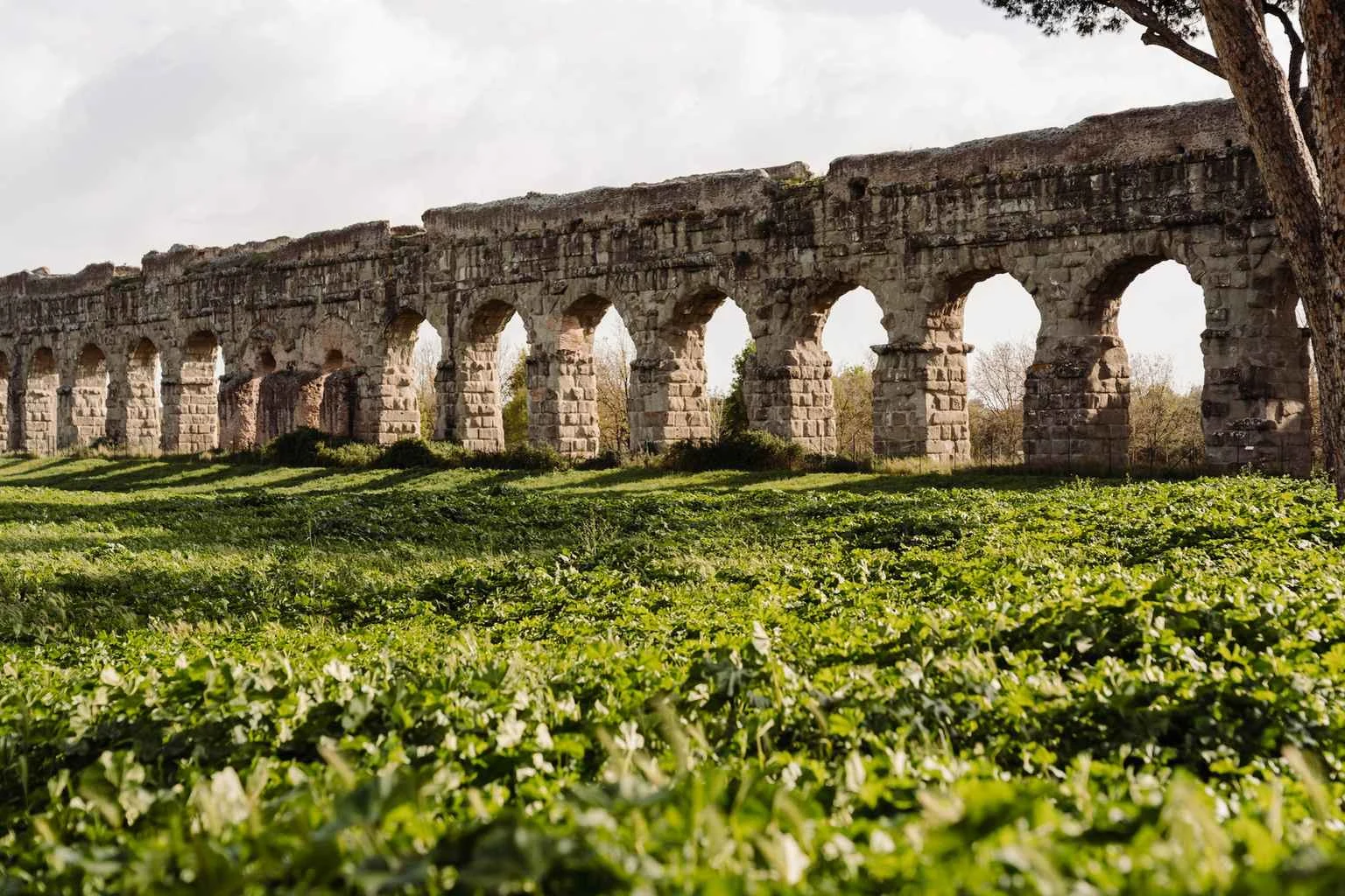 Rome Catacombs tour: Catacombs at closing time, Appian Way, and aqueducts 4