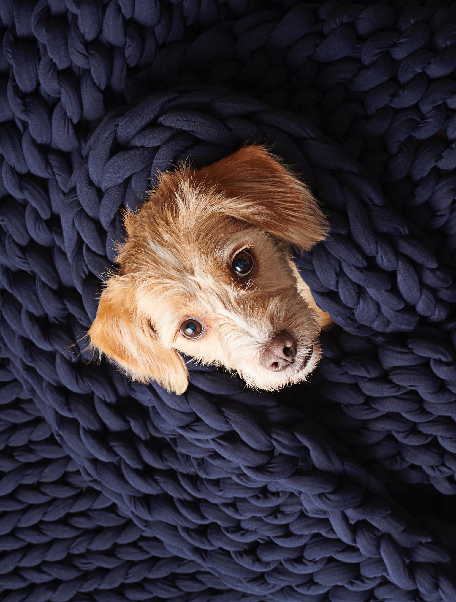 Hello Monday Bearaby