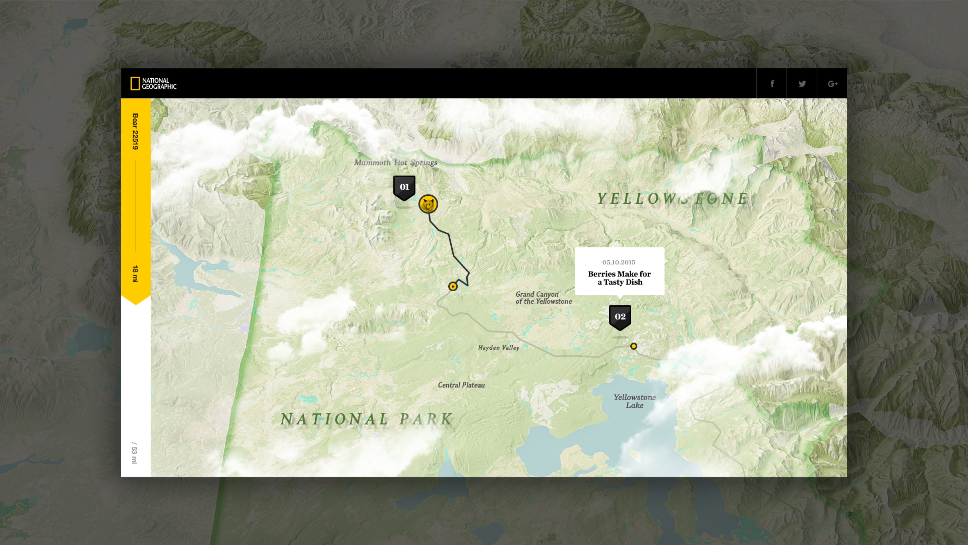 Hello Monday National Geographic A Bear S Eye View Of Yellowstone Natgeo Content 03
