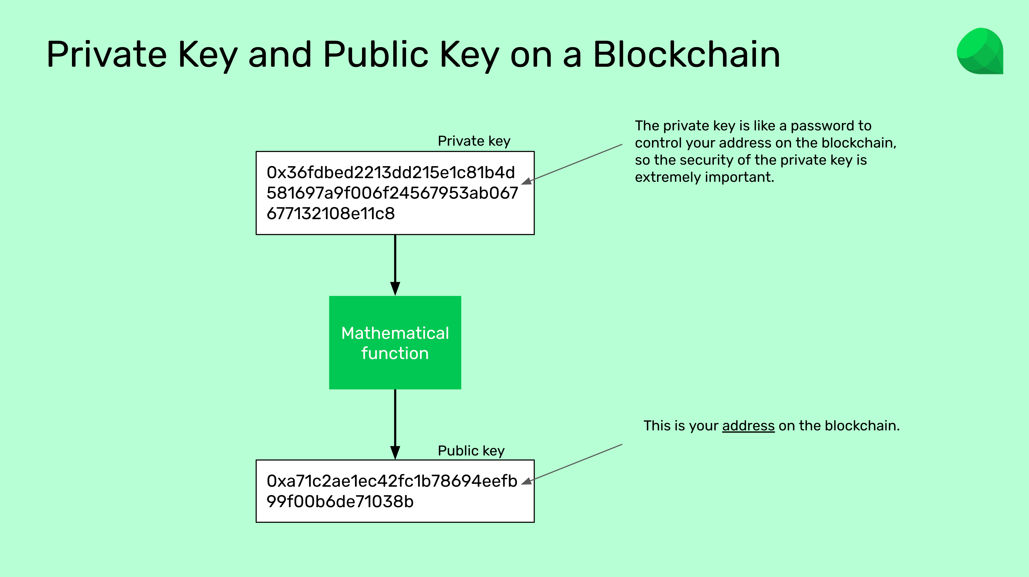 The public key is your address on a blockchain.