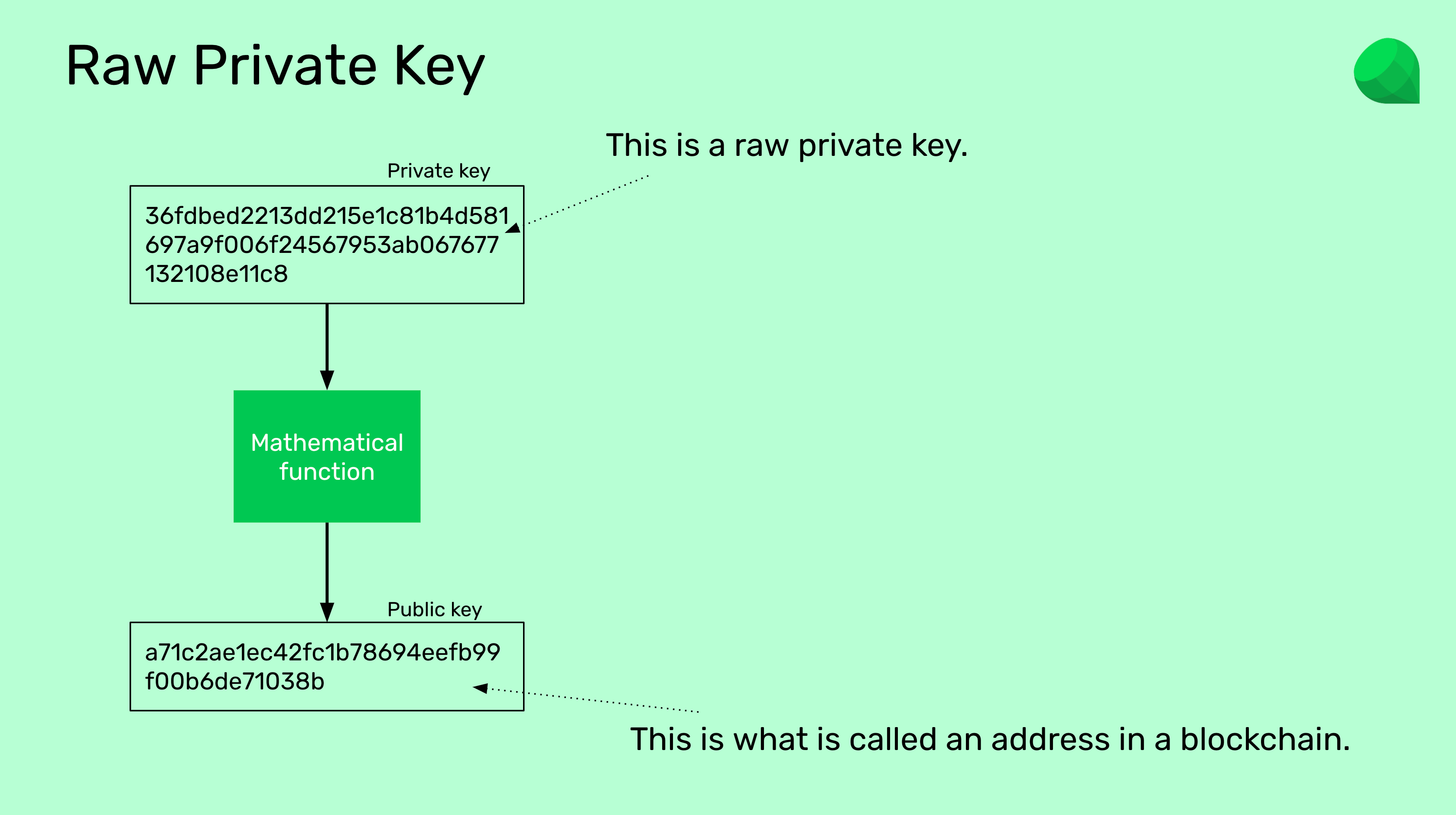 Raw private key.