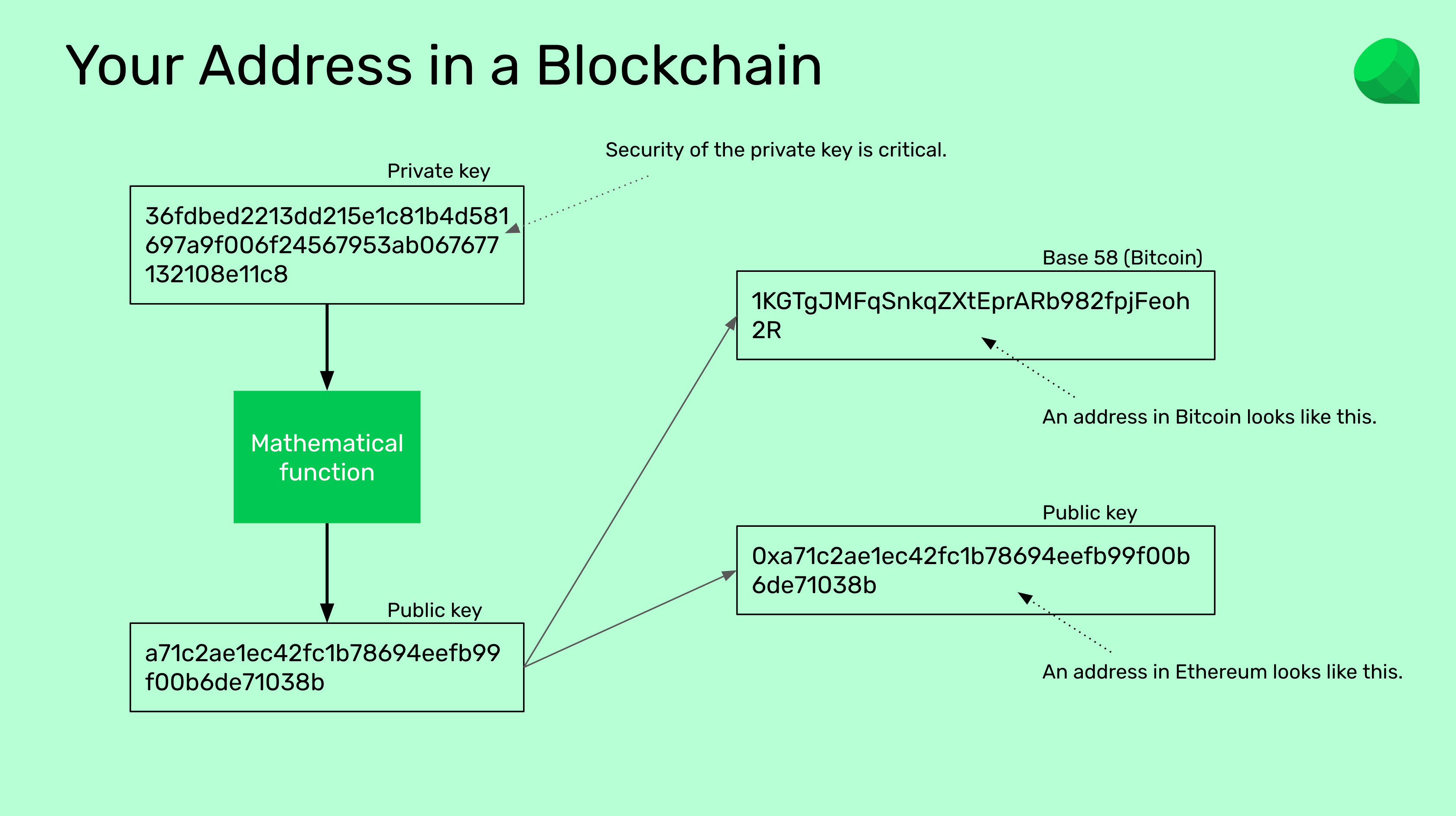 You address in a blockchain.