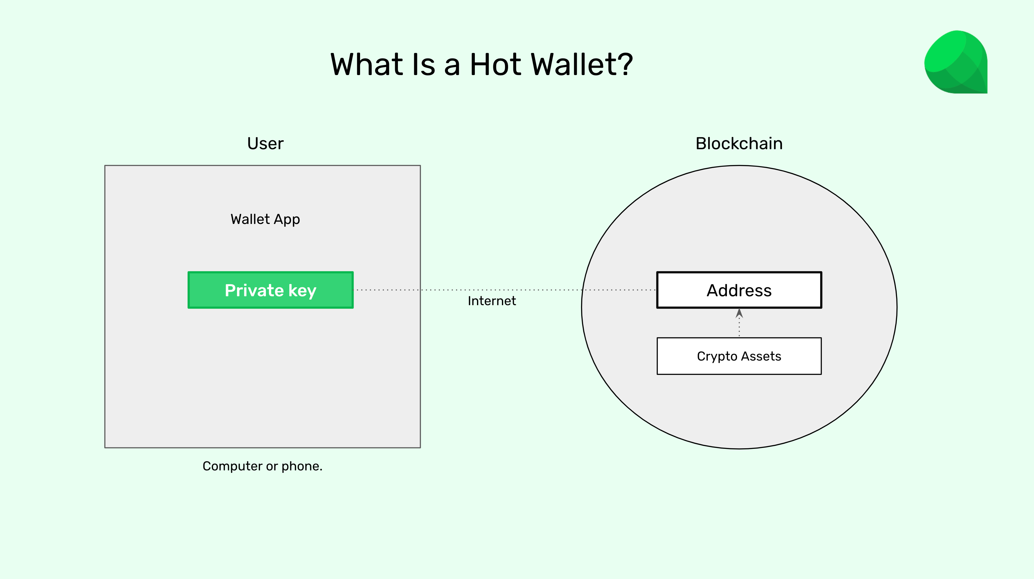 What is a hot wallet?