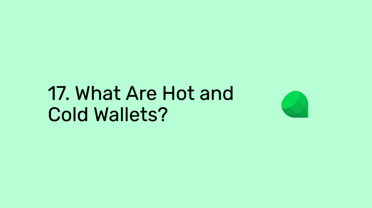 Image for Emerald Blockchain Course: 17. What Are Hot and Cold Wallets?