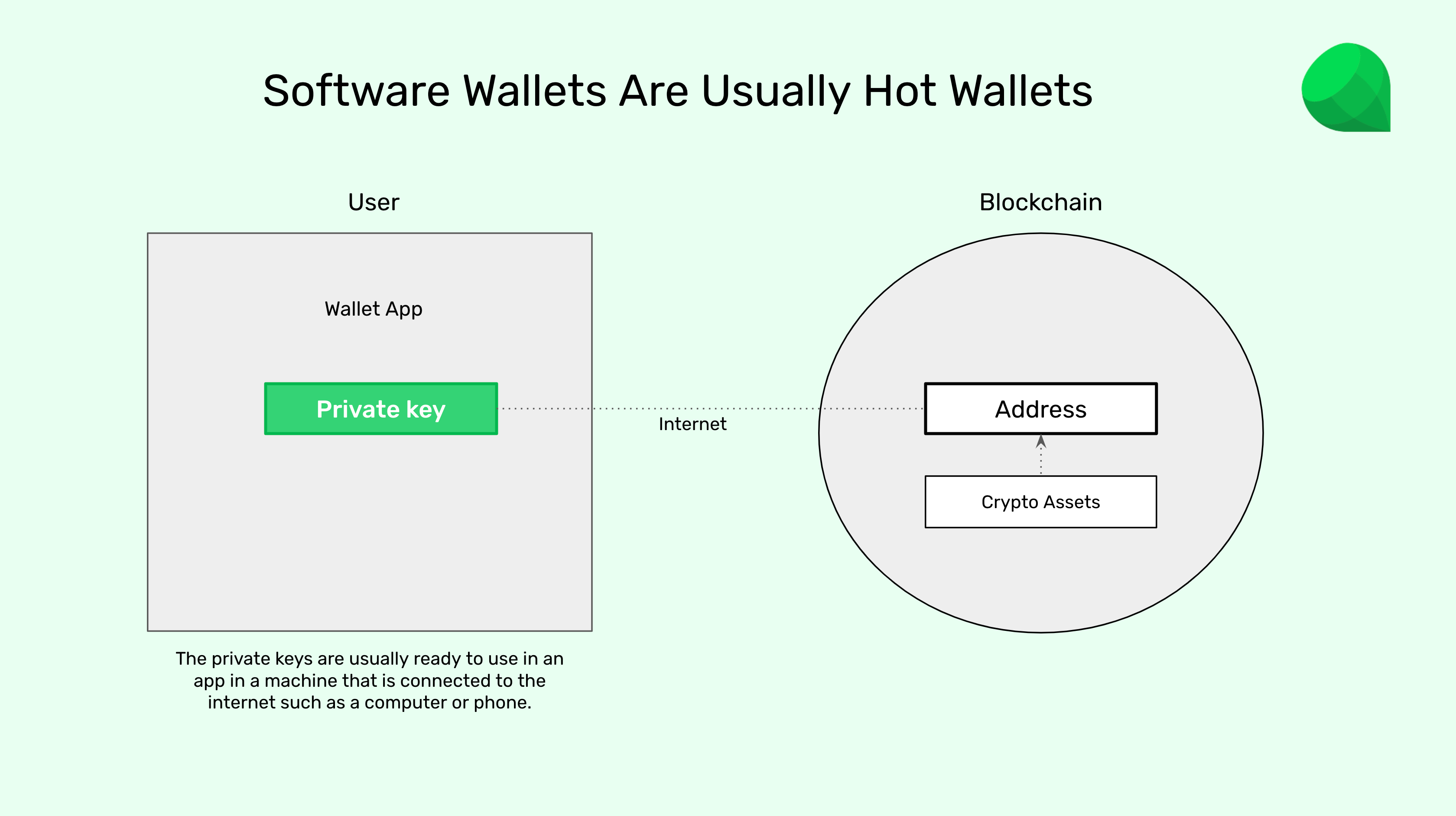 Software wallets are usually hot wallets?
