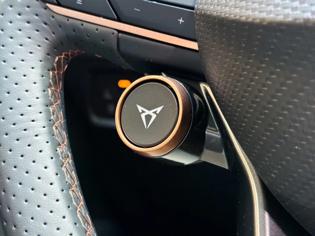 Cupra Leon Sportstourer (11)