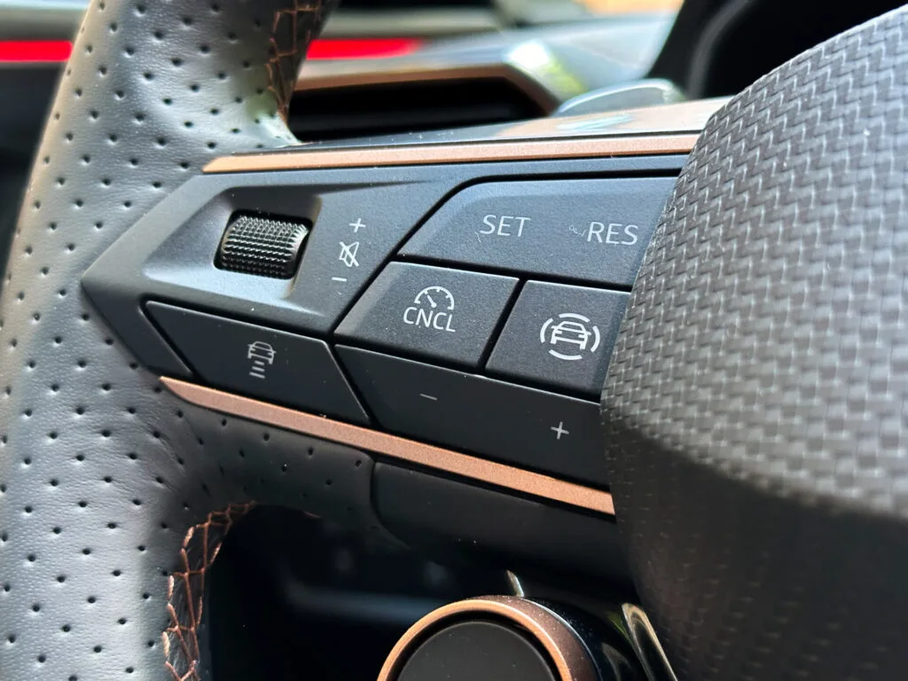 Cupra Leon Sportstourer (10)